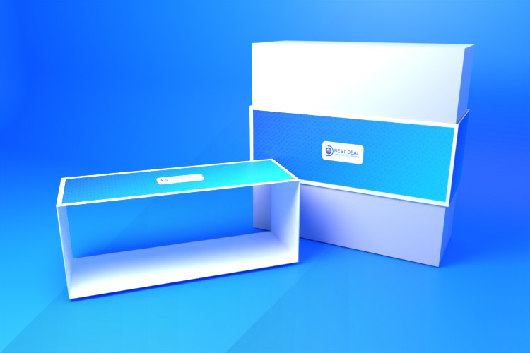 Best Deal Print Solutions