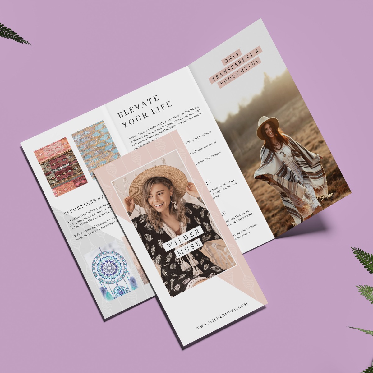 Brochures