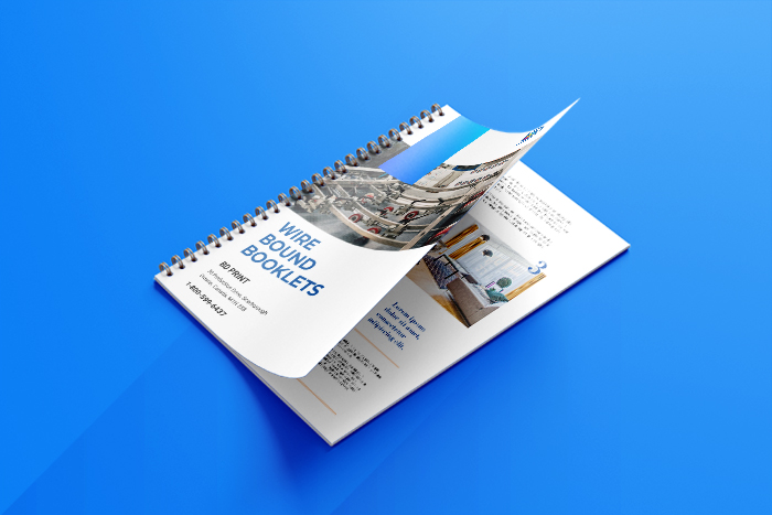 BD Print Solutions